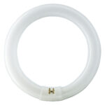 MASTER TL-E Circular -  Fluorescent lamp -  Systemleistung: 40.8 W -  Energieeffizienzklasse: G -  Ähnlichste Farbtemperatur (Nom): 4000 K