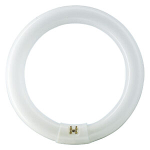 MASTER TL-E Circular -  Fluorescent lamp -  Systemleistung: 22.2 W -  Energieeffizienzklasse: G -  Ähnlichste Farbtemperatur (Nom): 6500 K